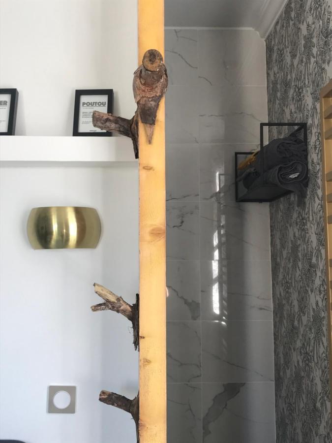 La Loge 45 Au Coeur Du Centre Historique De Rodez Daire Dış mekan fotoğraf