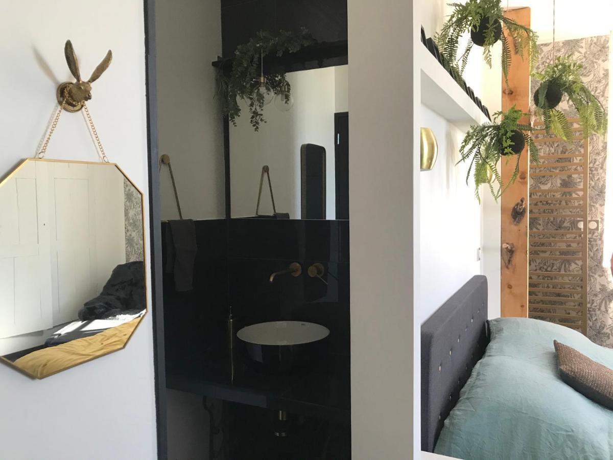 La Loge 45 Au Coeur Du Centre Historique De Rodez Daire Dış mekan fotoğraf